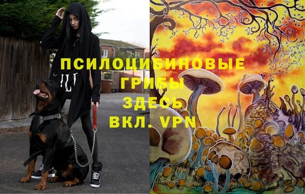 каннабис Абаза