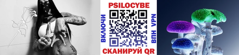 купить наркотик  kraken онион  Галлюциногенные грибы Psilocybine cubensis  Нижняя Салда 